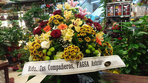 Floristerías Ana Rodríguez