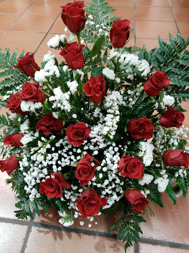 Floristería Maribel