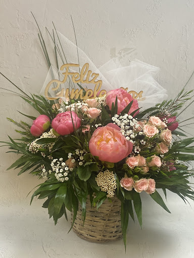 Floristeria Ana Sanchez Sociedad Limitada