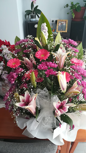 Ninfa Floristas
