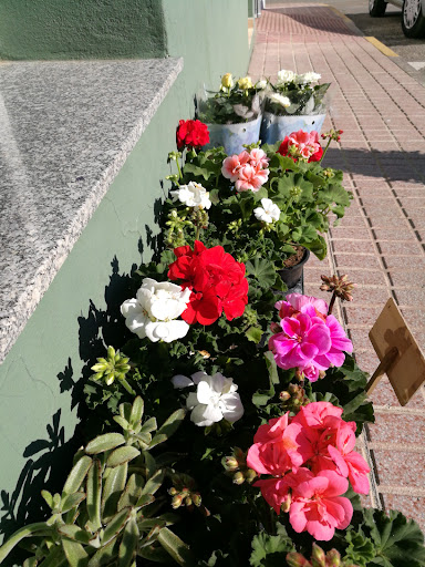 El jardín de las Letras