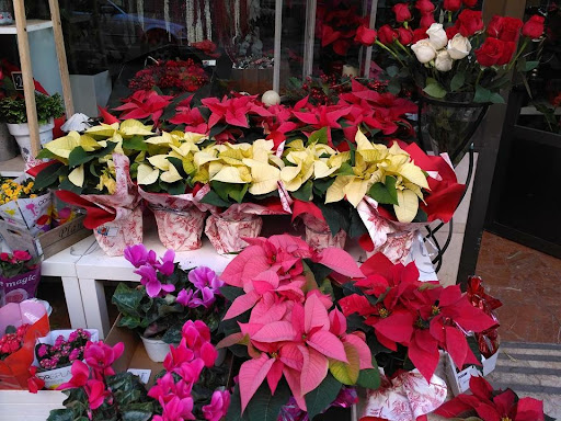 Floristería Mañas