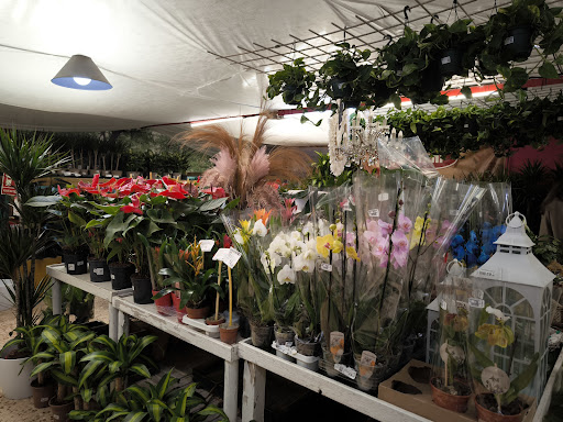 Botani Viveros Centro de Jardineria