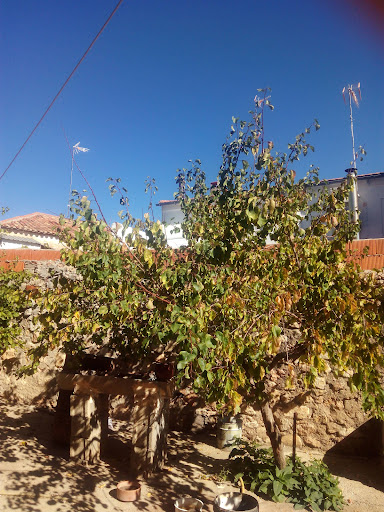 El Ballestero
