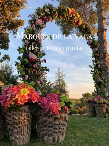 Marqués de la Vaca