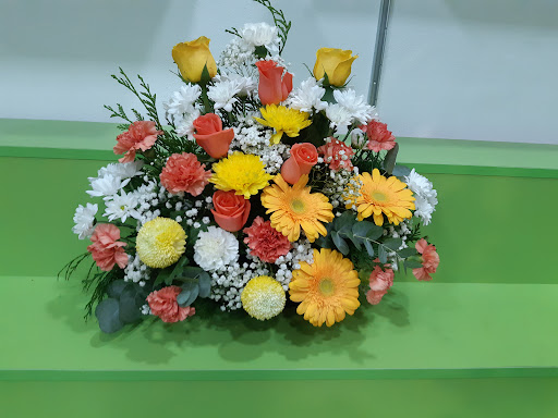 Floristeria 6 Hermano Plantas Naturales