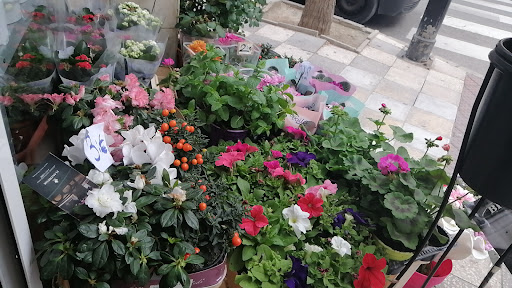 Floristeria Rosales