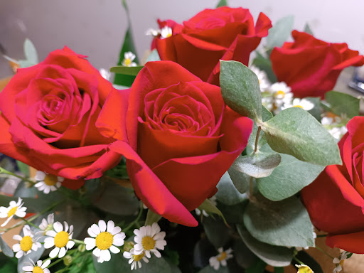 Floristeria Santa Ana