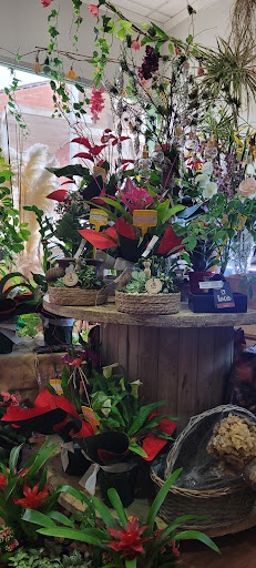 Floristería Aroma