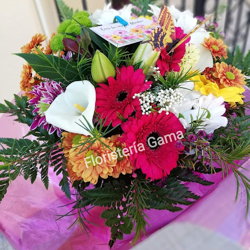 Floristeria Perséfone