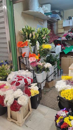 Floristeria Florama