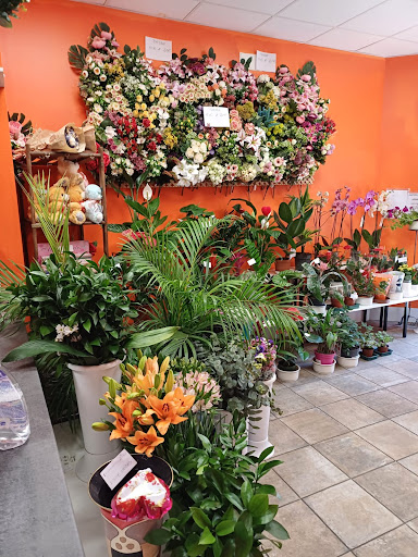 Floristeria Florama