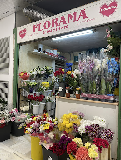 Floristeria Florama