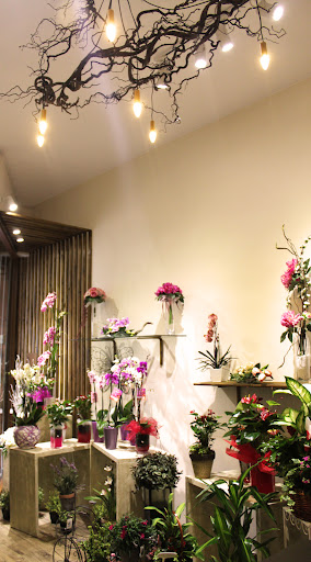 Sarai Floristerías