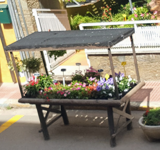 Flors Montse SL