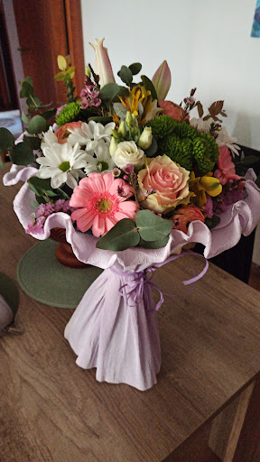 FLORISTERIA IRIS