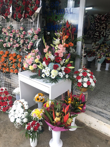 Floristería Moyano Mari Riera