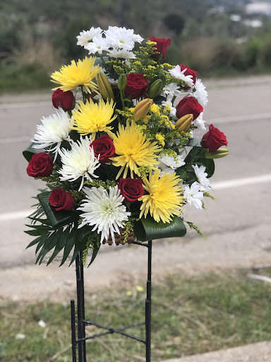 Floristeria Riera