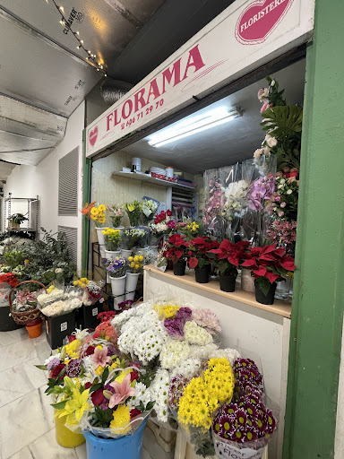 Floristeria Florama
