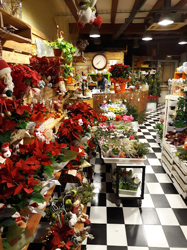 Arrels Floristeria