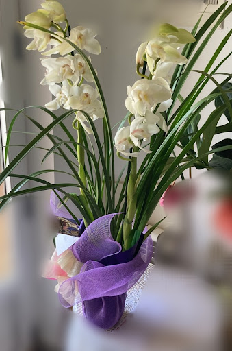 Floristeria. El Pasaje