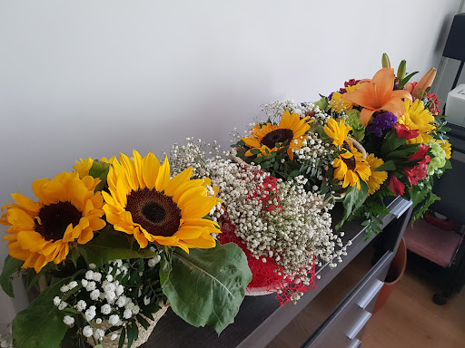Floristería Rovira