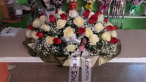 Floristeria Carmen
