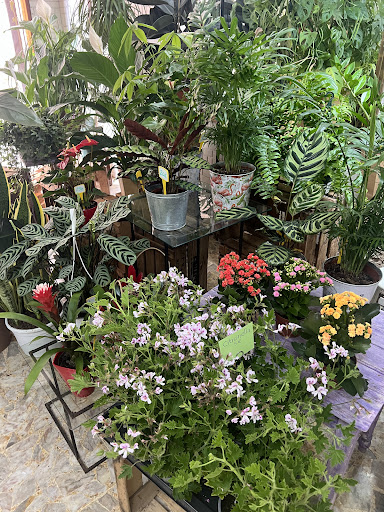 Flors Company