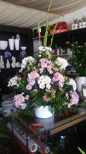 Garden Jareño Floristas.