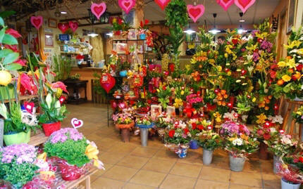Jardí Flors