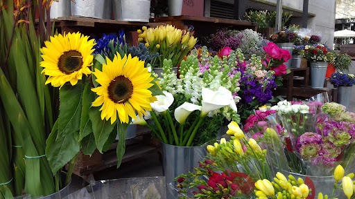 Floristeria Blooms