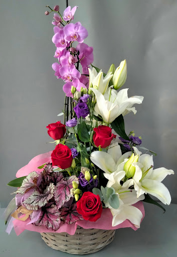 Floristeria Sanjuan