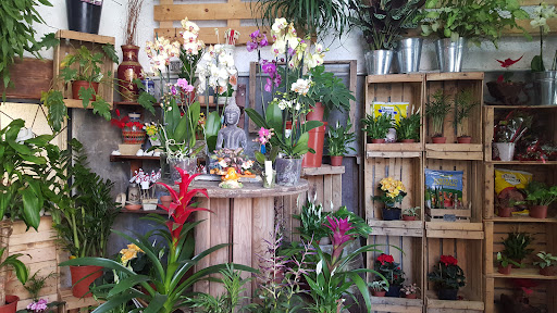 Floristería La Plata