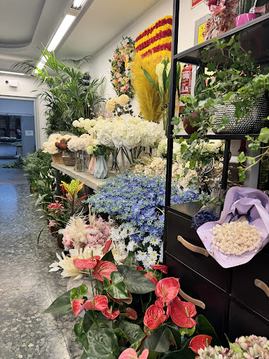 Florista Navarro