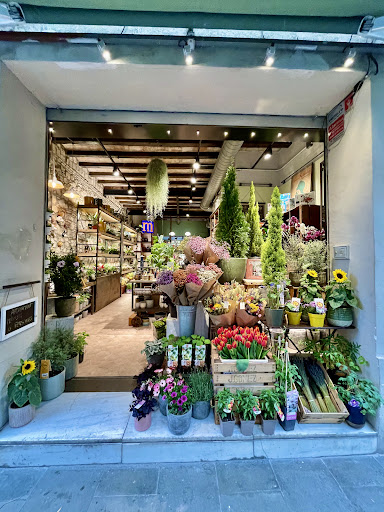 Muguet