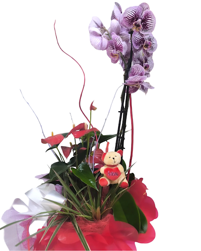 Les Flors de Mary