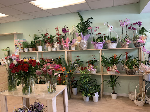 De Flores Barbosa