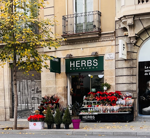 FLORISTERIA HERBS BARCELONA BALMES