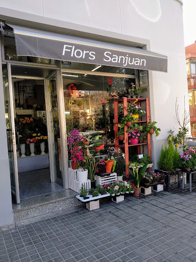 Floristeria Sanjuan