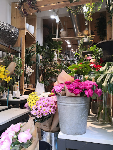 FLORS LLOVERAS