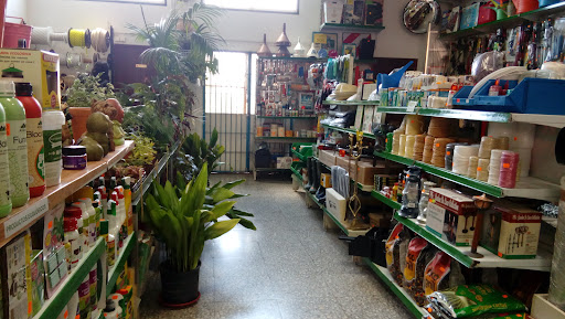 Viveros El Pla "El Botánico"