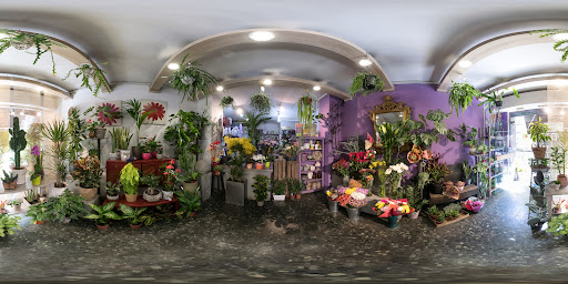 Floristería Jacaranda