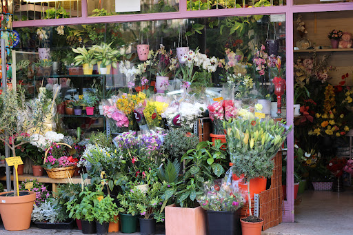 Floristería París