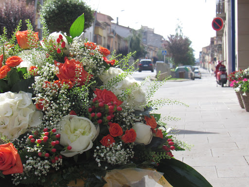 Floristeria ART FLORAL Can Remolins