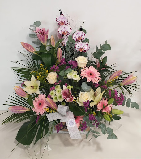 Floristeria Iolanda