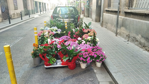 Floristeria Agarimo Barcelona