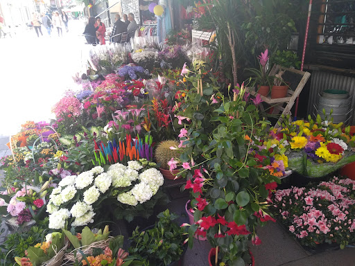 Floristería Neus