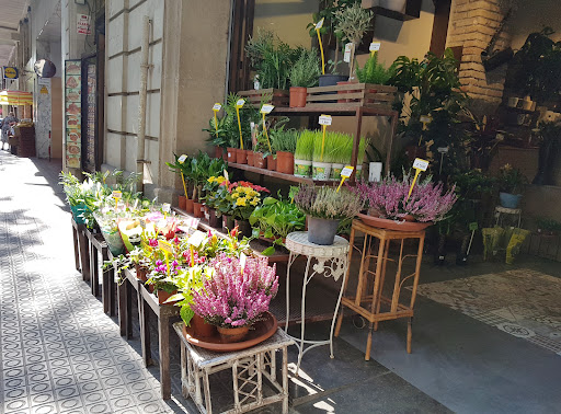 Floristería Siempreflores