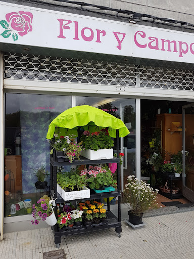Flor Y Campo