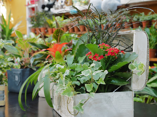 FLORISTERÍA AVI-FLOR Bilbao